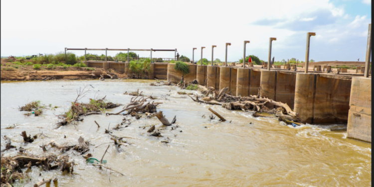 Somali Catastrophe Administration Company and Hirshabelle Officers Examine Sabun Dam – Somali Nationwide Information Company