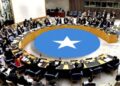 UN dedicated to assist Somalia ship ‘for its individuals’