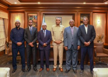 FGS, FMS Ministers of Inside meet PM Hamza after concluding the Wadajir Framework Excessive-Degree Retreat assembly – Somali Nationwide Information Company