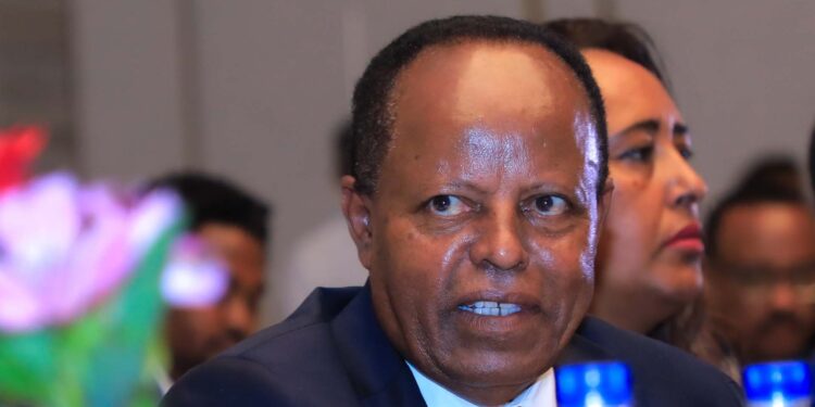 Ethiopia’s entry to sea key to its stability: FM