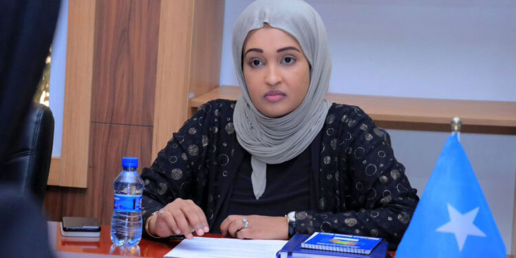 Minister of Atmosphere Secures a $100 Million Inexperienced Local weather Fund-Somalia Partnership to Fight Local weather Change
