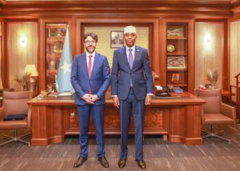 Prime Minister Hamza Abdi Barre Welcomes New Turkish Ambassador to Strengthen Bilateral Ties – Somali Nationwide Information Company