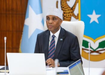 Somalia Advances Media Reform with Nationwide Media Council Appointment – Somali Nationwide Information Company