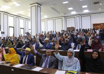 Commerce unions in Somalia hail passage of proposed constitutional amendments as step towards democracy and rights