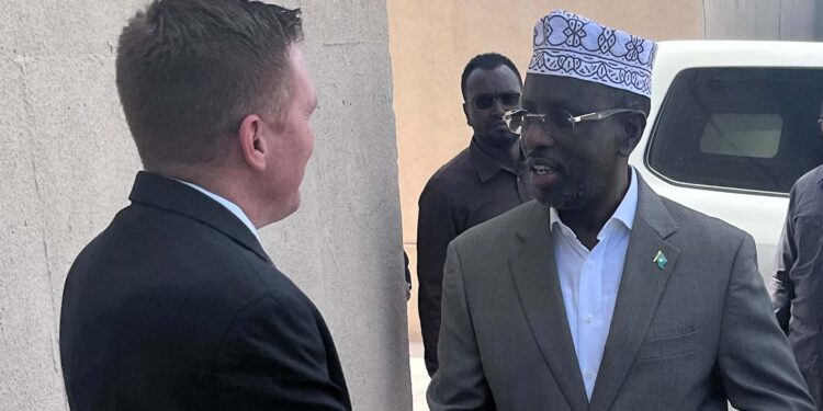 US embassy in Somalia requires ‘inclusive’ constitutional evaluation