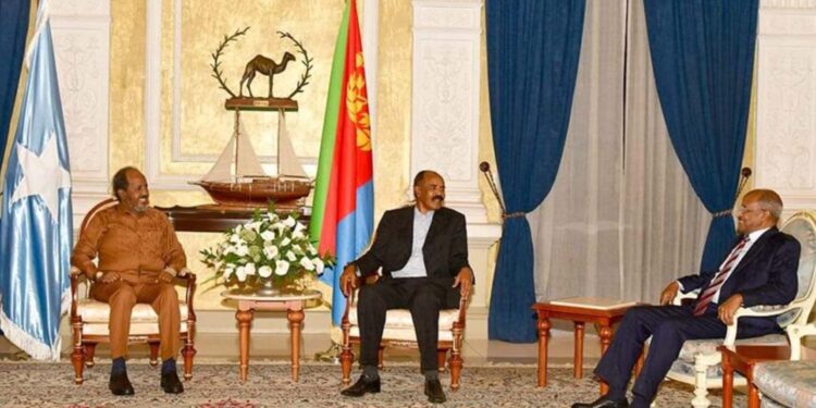 Somalia’s president meets with Eritrean counterpart amid rising tensions with Ethiopia