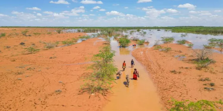 Cholera kills 54 individuals in Somalia with circumstances rising _ Save the Kids – Puntland Put up