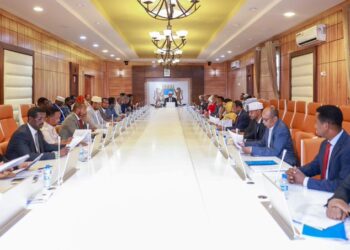 Somalia: Illegal appointment of Media Council threatens press freedom
