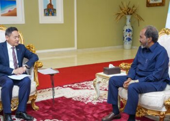 Chinese language Particular Envoy to the Horn of Africa visits Somalia