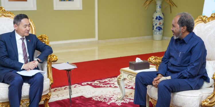 Chinese language Particular Envoy to the Horn of Africa visits Somalia
