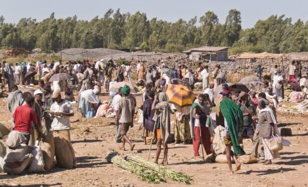 Fano Militia Claims Victory in Bahir Dar, Challenges Ethiopian Authorities – Somali Nationwide Information Company