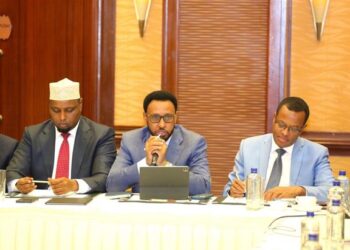 Minister of Finance opens 1st Overview of the ECF-Supported Program with the IMF – Somali Nationwide Information Company
