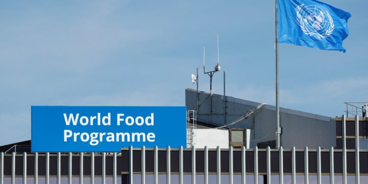 WFP says 6.9 mln individuals require support in Somalia in 2024