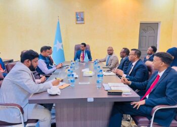 Somali Deputy International Minister Meets with Indian Official to Enhance Bilateral Ties – Somali Nationwide Information Company