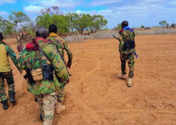Ku dhawaad 100 ka tirsanaa Al-Shabaab oo howlgal lagu dilay