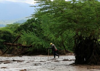 Floods kill a minimum of 42 in central Kenya after dam bursts