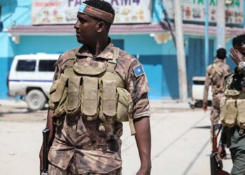 Turkey to restart coaching for Somalia’s particular police unit
