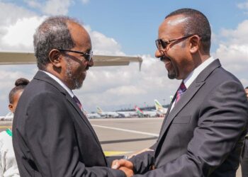 Somalia says ‘dialogue with Ethiopia stays unattainable’ till it cancels port take care of Somaliland