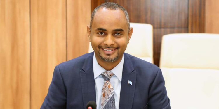 Somalia arrests high-ranking army officers over theft of rations: minister of protection