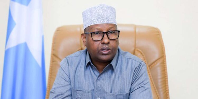 Somalia’s anti-Ethiopian inside minister takes up new position as overseas minister