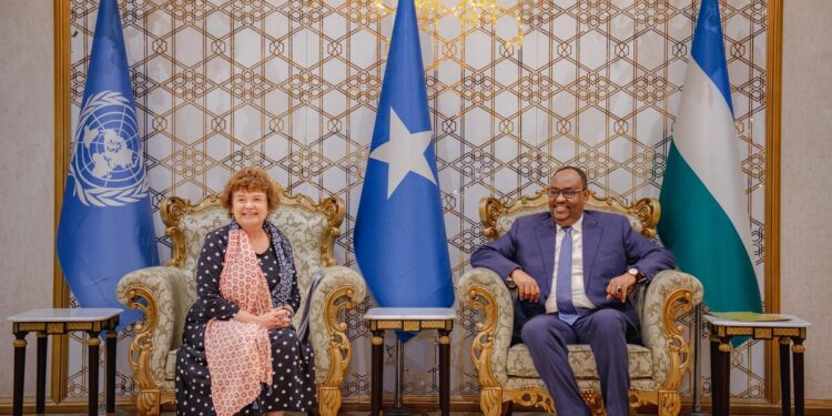 UN envoy and Puntland President mentioned methods to scale back Somalia’s political tensions