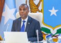 Somalia’s PM orders authorities companies to not maintain conferences overseas