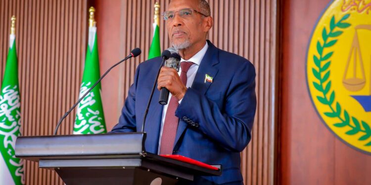 Somaliland chief units presidential election for November 13