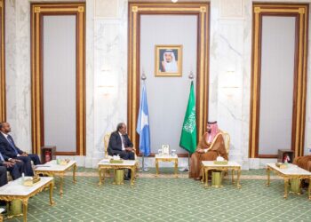 Somalia’s president, Saudi crown prince conform to step up safety cooperation