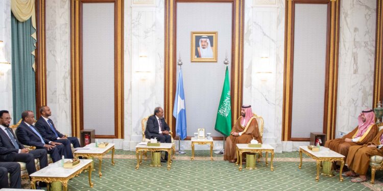 Somalia’s president, Saudi crown prince conform to step up safety cooperation