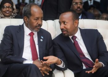 What Somalia and Ethiopia can be taught from one another about their dealings with IMF – Puntland Publish