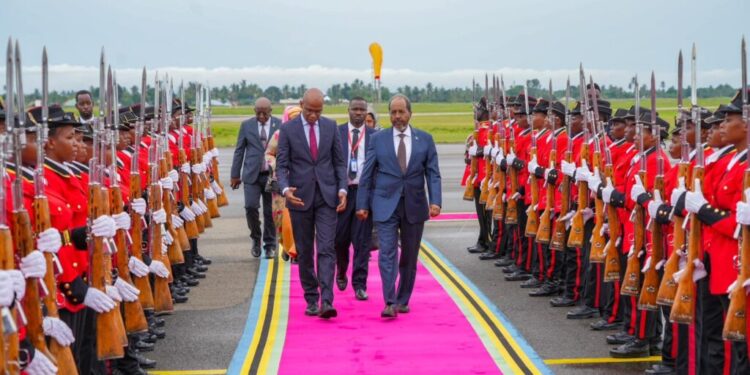 Somali President’s Official Go to to Tanzania Strengthens Regional Ties – Somali Nationwide Information Company