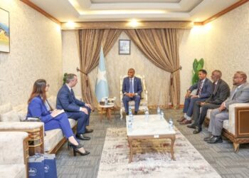 PM Hamza meets Serbian Presidential Envoy for the Horn of Africa – Somali Nationwide Information Company