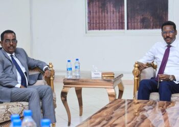 Inside Minister meets Presidents of Galmudug, Hirshabelle, Southwest States – Somali Nationwide Information Company