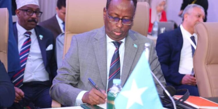 Somali Agriculture Minister Attends Key Convention in Morocco – Somali Nationwide Information Company