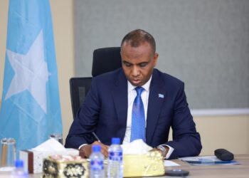 Somali PM Hamza Abdi Barre Reshuffles Cupboard