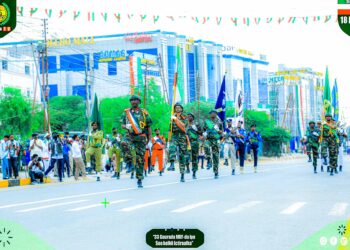 Somaliland marks Independence Day vowing to implement sea entry take care of Ethiopia 