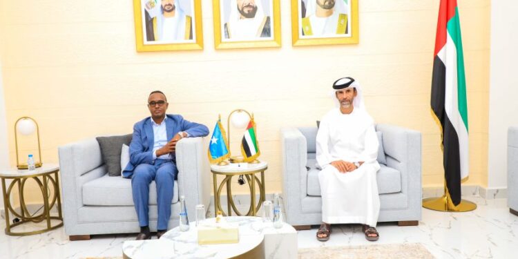UAE Extends Help to Households Affected by Extreme Climate Circumstances in Somalia