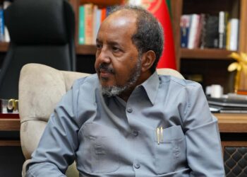 Somalia’s president appoints activity power to defend nation’s sovereignty