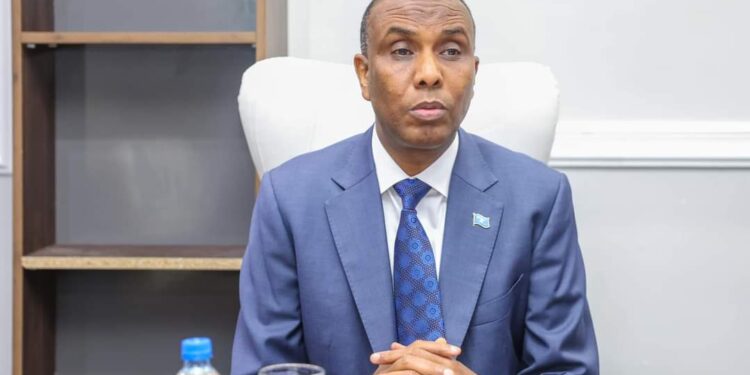 PM Hamza opens a gathering discussing the event and development of the nation’s economic system – Somali Nationwide Information Company