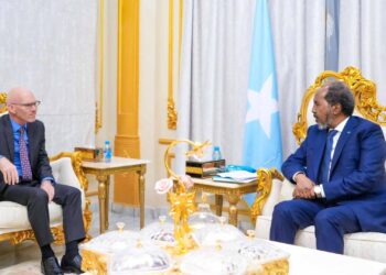 Somalia’s president meets performing UN ambassador James Swan 