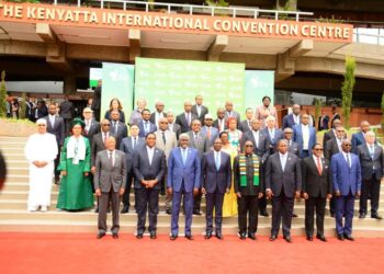 Somali International Minister Joins Africa Fertilizer and Soil Well being Summit to Increase Agriculture – Somali Nationwide Information Company