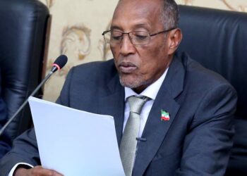A Historical past Tutorial for Somaliland President on the Pre-independence Italian Rule in Somali Territories – Puntland Publish