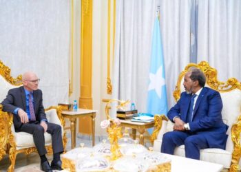 President Hassan Sheikh receives the Performing UN Particular Consultant – Somali Nationwide Information Company