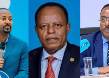 Ethiopia deliberates “a plan of action” on maritime MoU “with out alienating Mogadishu or Hargeisa” – Puntland Put up