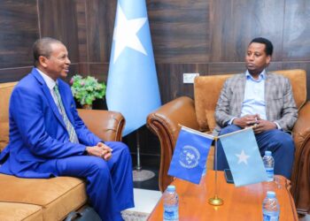 Deputy FM Meets WFP Director to Strategize Humanitarian Help for Somalia – Somali Nationwide Information Company