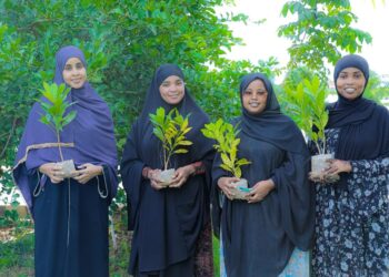 Mogadishu College’s Dedication to Journalism and Environmental Stewardship – Somali Nationwide Information Company