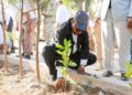 Overseas Affairs Minister Takes Motion with Planting of two,000 Bushes for Greening – Somali Nationwide Information Company