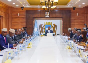 Cupboard Approves Auditor Common Laws Amidst Nationwide Safety and Schooling Updates – Somali Nationwide Information Company