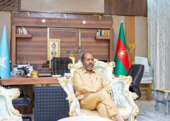 President Hassan Sheikh Mohamud Celebrates Somalia’s Milestone UN Safety Council Membership – Somali Nationwide Information Company