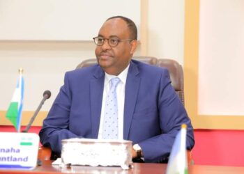 Siciid Deni oo Xasan Sheekh ugu baaqay in uu joojiyo faagista qubuuraha Muqdisho – Puntland Submit